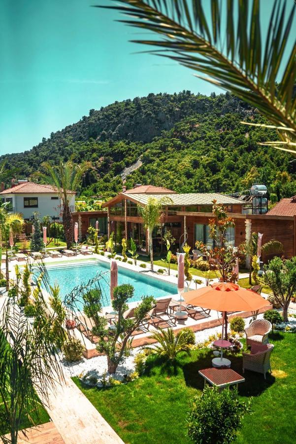 Cirali Hestia Lodge Kemer Extérieur photo