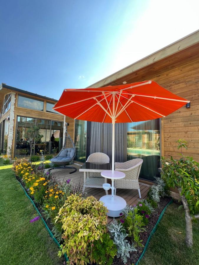 Cirali Hestia Lodge Kemer Extérieur photo